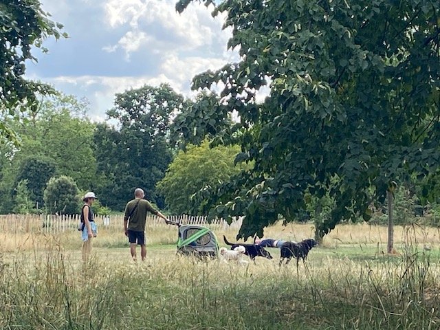Hyde Park